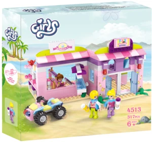 סט בנייה לבנות של Cogo Dream Girls 317) חלקים(